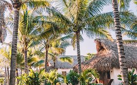 Paredon Surf House